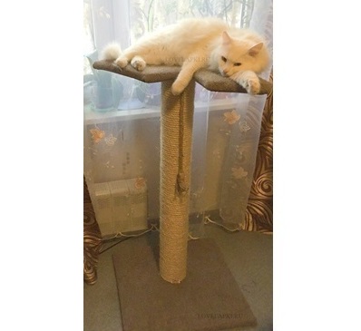 <span style="font-weight: bold;">АКТИВ-3</span>