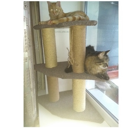 <span style="font-weight: bold;">МЕГА АКТИВ-1</span>