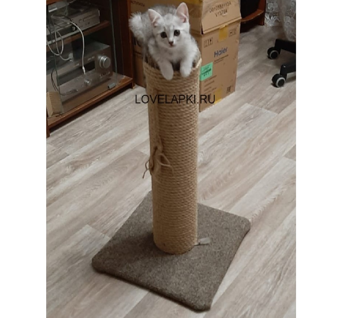 <span style="font-weight: bold;">АКТИВ-1</span>