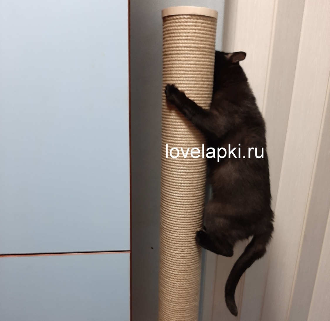 <span style="font-weight: bold;">СТЕНОЛАЗ-3</span>